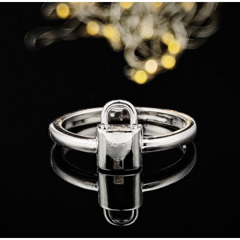 Sterg Sier Fashionable Sterling Silver Key Ring - Perfect Gift for Couples