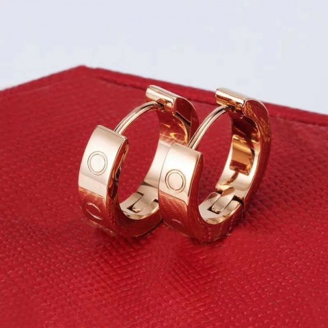 23 Piece Minimalist 18K Rose Gold Titanium Steel Earrings for Women