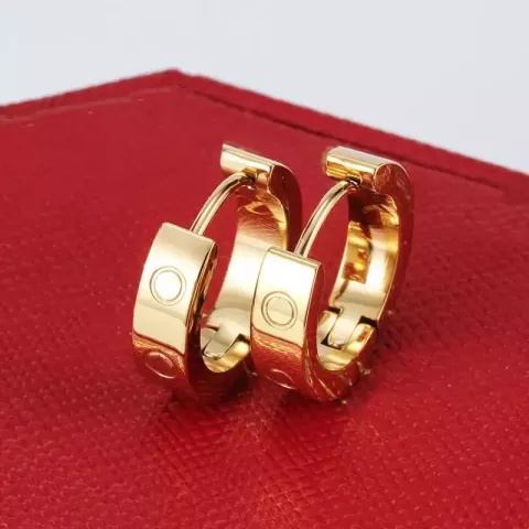 23 Piece Minimalist 18K Rose Gold Titanium Steel Earrings for Women