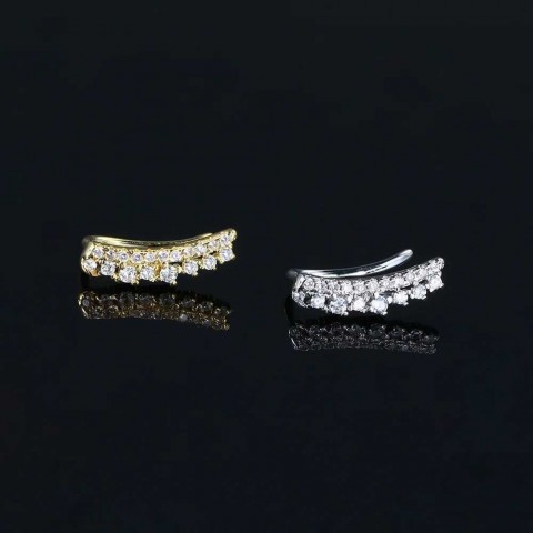 Trend Spiral Lobe Perforated Stud Earrings for Women with Zircon Climbing Design w250430