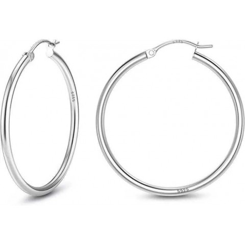 Fansier Sterling Silver 14K Gold Plated Hoop Earrings for Women