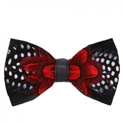 Wei Jian Classic Red Feather Bow Tie for Men and Women