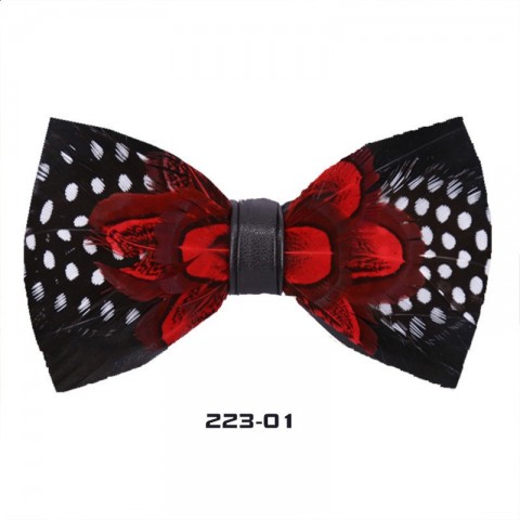 Wei Jian Classic Red Feather Bow Tie for Men and Women