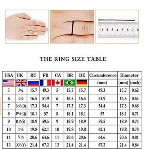 Elegant 2-Piece 925 Silver Plated Zircon Wedding Ring Set for Women