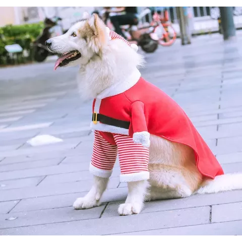 Warm Winter Dog Coat with Realistic Dog Face Design for French Bulldogs